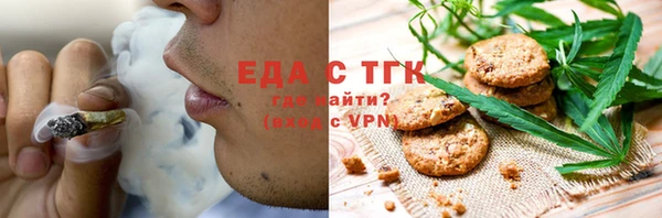 индика Краснотурьинск