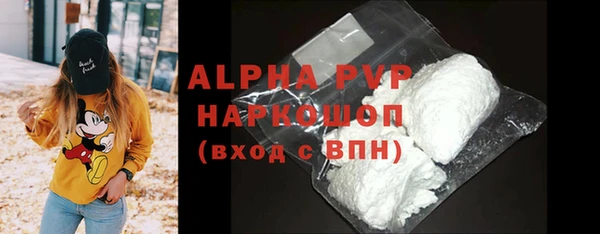 индика Краснотурьинск
