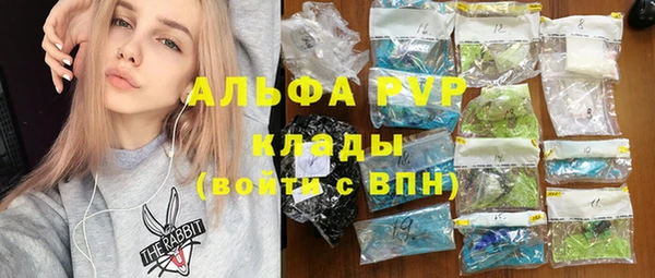 индика Краснотурьинск
