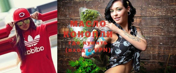 индика Краснотурьинск