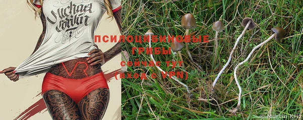 индика Краснотурьинск