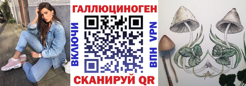 купить наркотики сайты  блэк спрут онион  Галлюциногенные грибы Psilocybine cubensis  Топки 