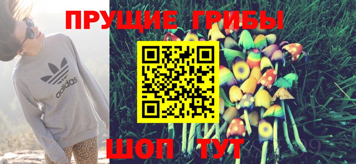 Топки  Галлюциногенные грибы Psilocybine cubensis  Вход с VPN 