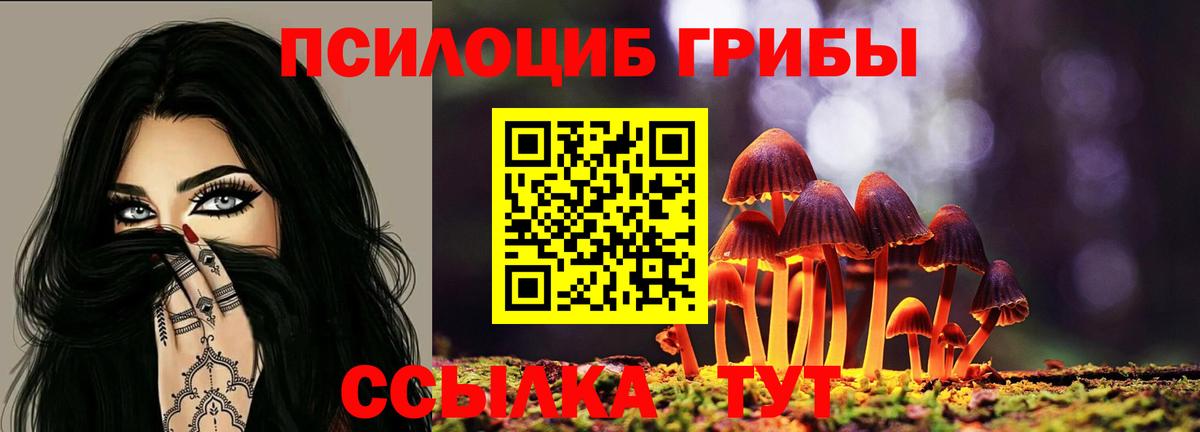 Галлюциногенные грибы ЛСД  Вход с VPN  Топки  Галлюциногенные грибы MAGIC MUSHROOMS 